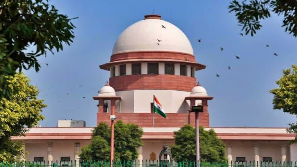 Judgement Image